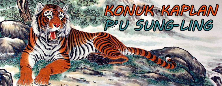 Konuk Kaplan